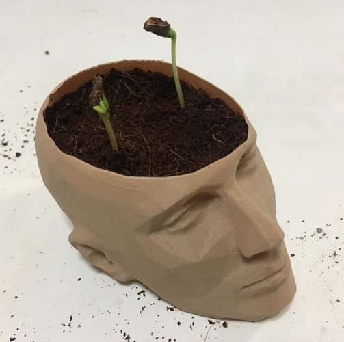 pot /man face flowerpot 3D Print 288609
