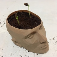 Small pot /man face flowerpot 3D Printing 288609