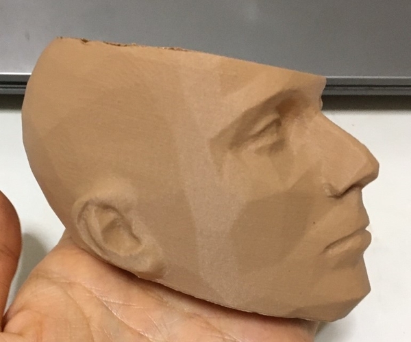 pot /man face flowerpot 3D Print 288610
