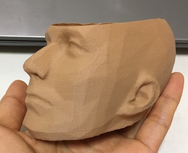 pot /man face flowerpot 3D Print 288611