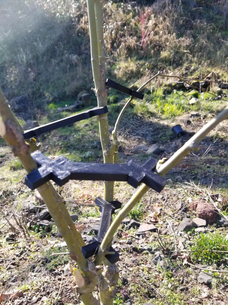 tree branch spreader