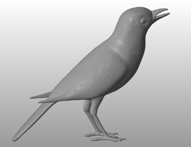 White wagtail  3D Print 289333