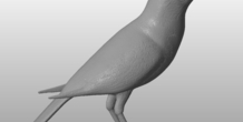 Image 289333