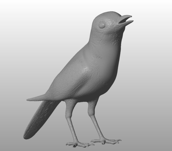 White wagtail  3D Print 289334