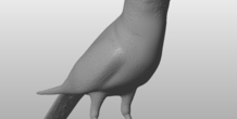 Image 289334