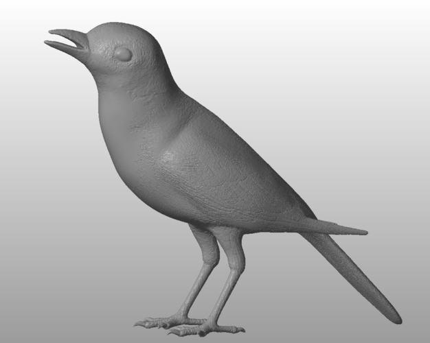White wagtail  3D Print 289335