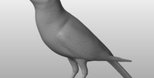 Image 289335
