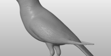 Image 289336
