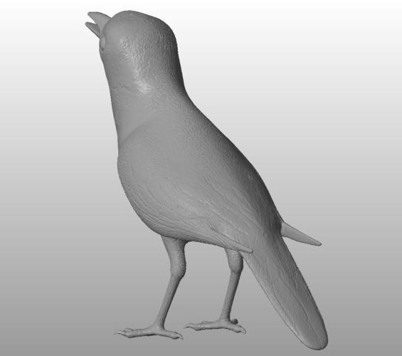 White wagtail  3D Print 289337