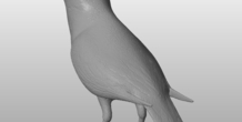 Image 289337