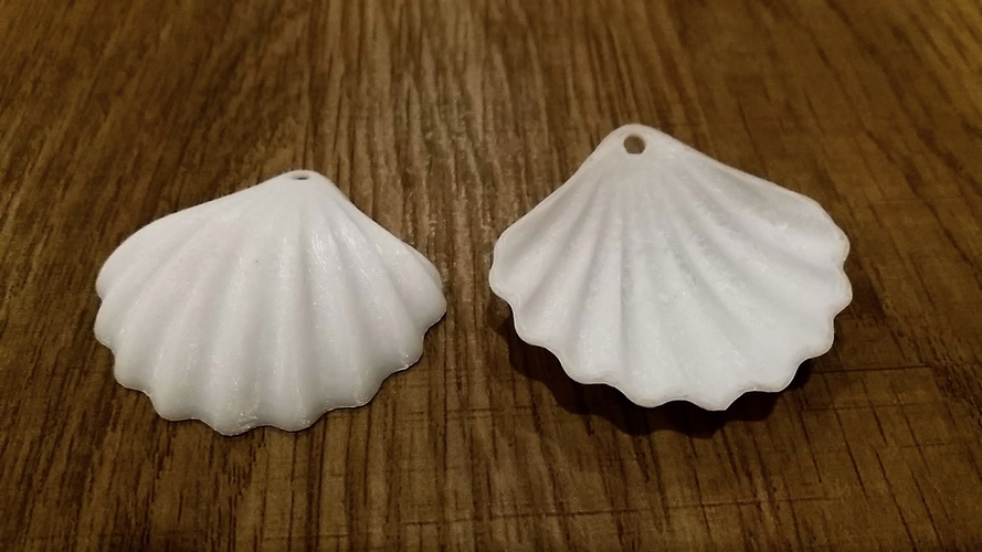 Seashell earrings 3D Print 290416