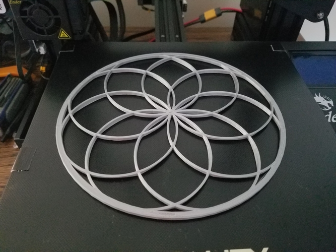 Flower of Life 3D Print 290609