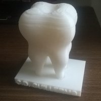 Small Human Tooth 3D Printing 29253