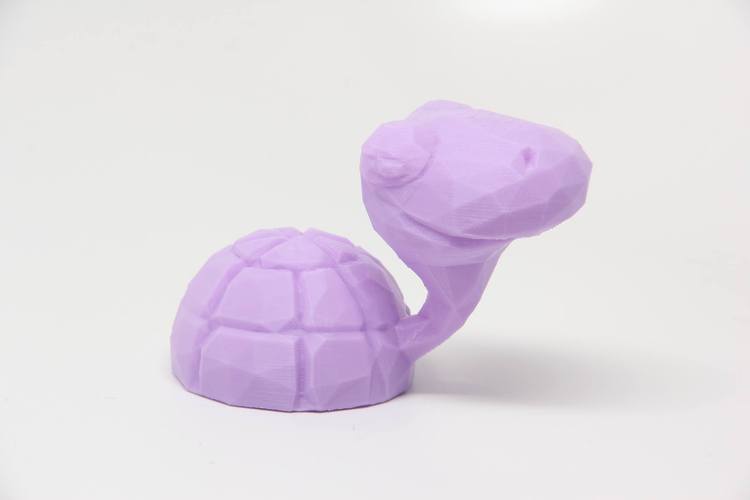 Myrtle the Turtle 3D Print 29476