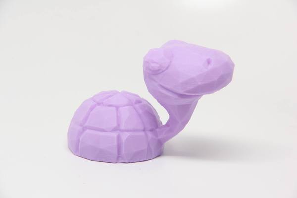 Myrtle the Turtle