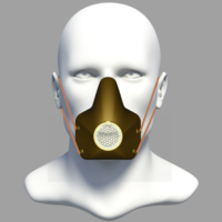 Small Protective Mask 3D print 3D Printing 295001