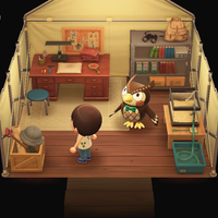 Animal Crossing:  Blathers' Tent - Thumbnail 1