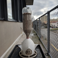 Bird Feeder for PET Bottle, Bird House - Thumbnail 4