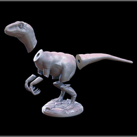 RAPTOR - Thumbnail 3