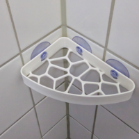 Small Voronoi Shower Shelf 3D Printing 296028