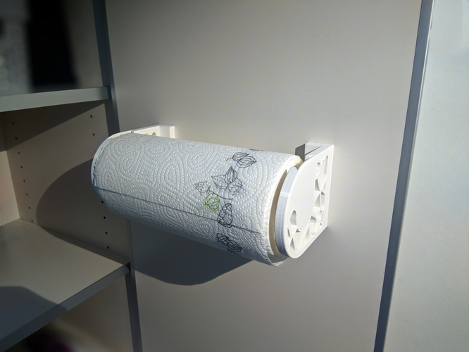 Voronoi Paper Towel Dispenser