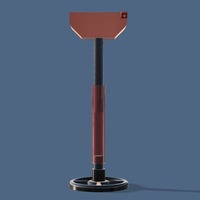 MonoPod for Raspberry with cam - Thumbnail 6