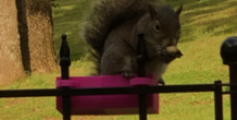 Image 299883