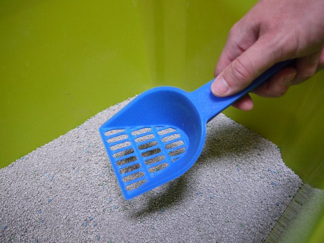 Cat Litter Scoop 3D Print 30173