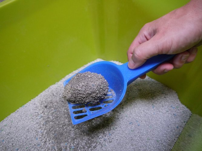 Cat Litter Scoop 3D Print 30174