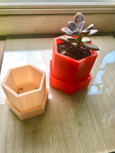 Planter 3D Print 302240