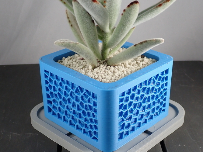Voronoi Planter 3D Print 303362