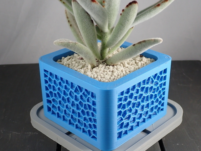 Voronoi Planter