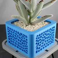 Small Voronoi Planter 3D Printing 303362