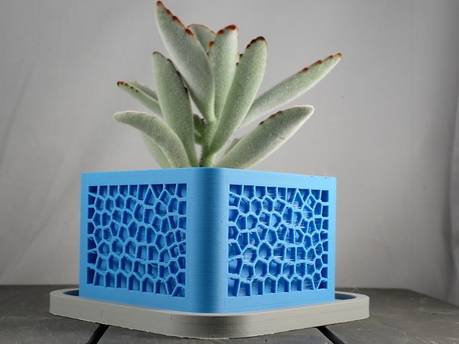 Voronoi Planter 3D Print 303364