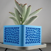 Voronoi Planter - Thumbnail 3