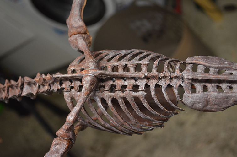 Pteranodon skeleton Part01/03 3D Print 304403