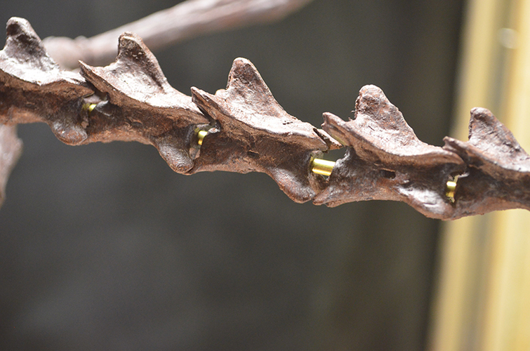 Pteranodon skeleton Part01/03 3D Print 304405