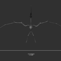 Pteranodon skeleton Part01/03 - Thumbnail 8
