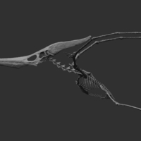Pteranodon skeleton Part03/03 - Thumbnail 2
