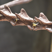 Pteranodon skeleton Part03/03 - Thumbnail 8