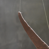 Pteranodon skeleton Part03/03 - Thumbnail 9