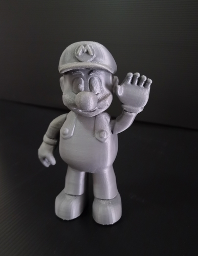 Super Mario 3D Print 304434