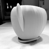 worony - Thumbnail 5