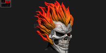 Image 304919
