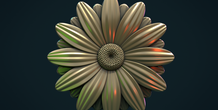 Image 305069