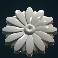 Daisy II - Thumbnail 7