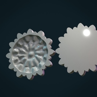 Daisy II - Thumbnail 8