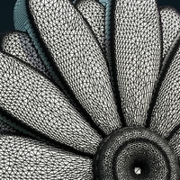 Daisy II - Thumbnail 10