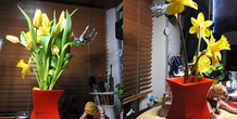 Image 306455