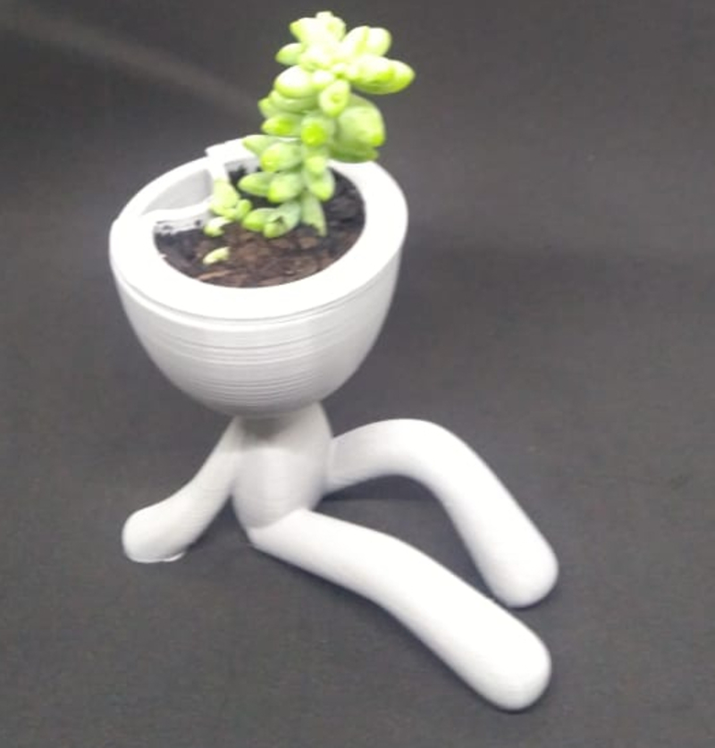 Self-watering  Succulent Planter - seated